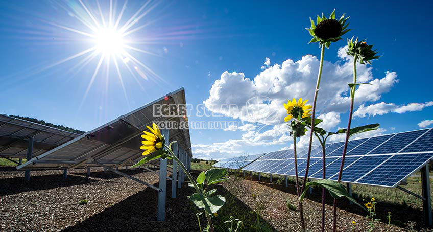 Omfattande klassificering av fotovoltaiska solceller