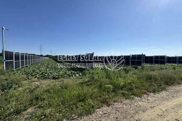 Närmar sig Egret Vertical Farming Power Generation