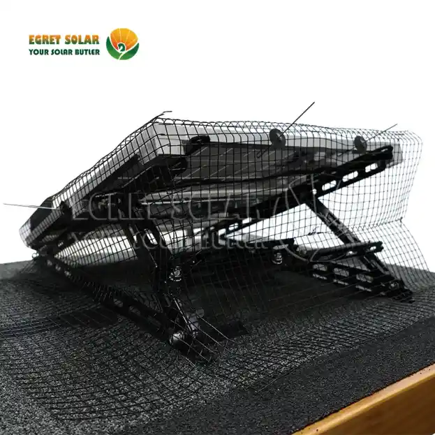 Varför solfågelnät är den viktigaste försvarslinjen?